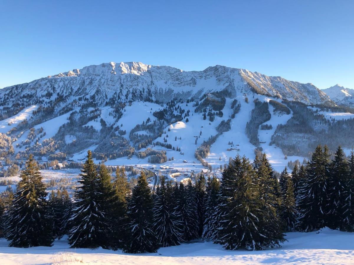 Mountain Lodge Oberjoch, Bad Hindelang - Moderne Premium Wellness Apartments Im Ski- Und Wandergebiet Allgau Auf 1200M, Family Owned, 2 Apartments Mit Privat Sauna Dış mekan fotoğraf